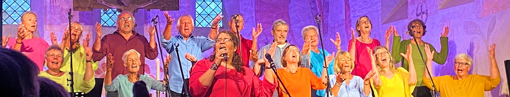 Moderne Gospelmusik von der Ostseeküste: Holy Harbour Gospel Choir